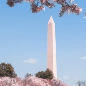 Meet your Posher, Dindo